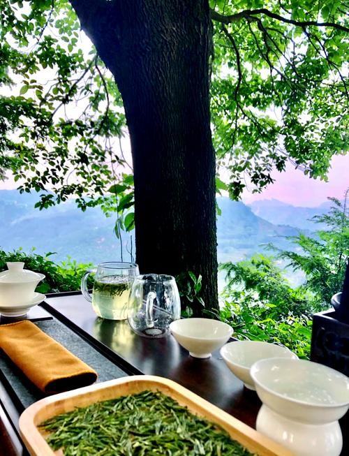 茶香引路，重返静谧午后的时光之旅。