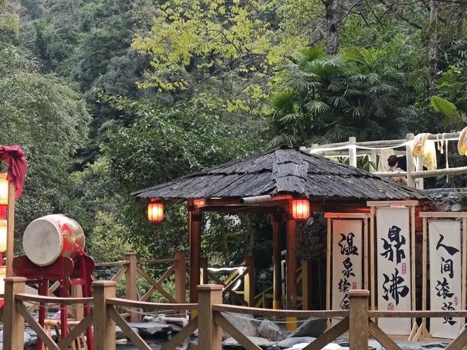 五指山下，猴群携家带口享受温泉养生，一场自然界的别样奇遇记