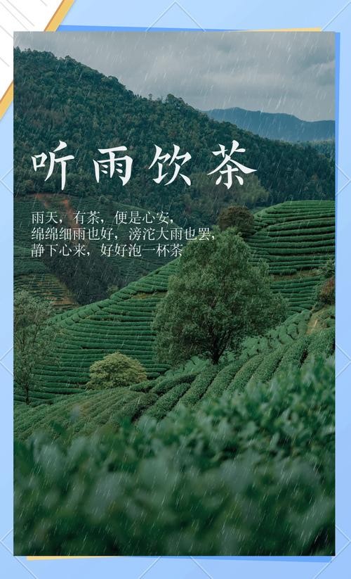 细雨蒙胧中的茶香与青石板的温柔邕遇,一抹静谧的时光之旅。